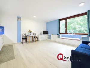 Prodej bytu 1+kk, Praha - Michle, U michelského mlýna, 40 m2