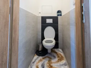 Prodej bytu 2+kk, Mladá Boleslav - Mladá Boleslav II, 17. listopadu, 55 m2