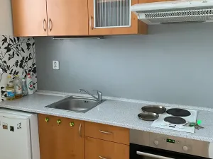 Pronájem bytu 1+1, Brno, Lučiny, 30 m2