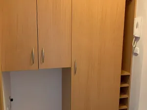 Pronájem bytu 1+1, Brno, Lučiny, 30 m2