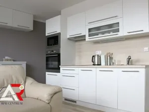 Pronájem bytu 1+kk, Brno, Hostinského, 30 m2