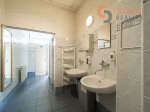 Pronájem kanceláře, Břeclav, Kančí obora, 30 m2