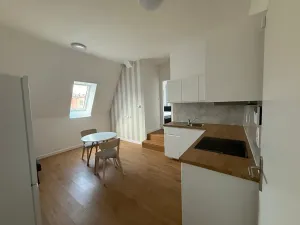 Pronájem bytu 1+kk, Ústí nad Labem, 20 m2