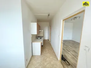 Prodej bytu 1+1, Tábor, Moskevská, 44 m2