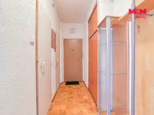 Pronájem bytu 2+1, Cheb, Smetanova, 50 m2