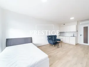 Pronájem bytu 1+kk, Praha - Žižkov, Šrámkové, 36 m2
