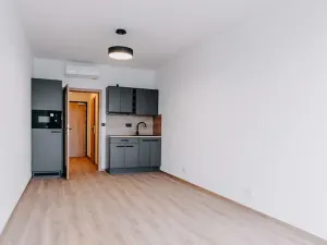 Pronájem apartmánu, Brno, Čechyňská, 40 m2
