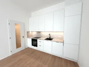 Pronájem bytu 2+kk, Brno, třída Generála Píky, 84 m2