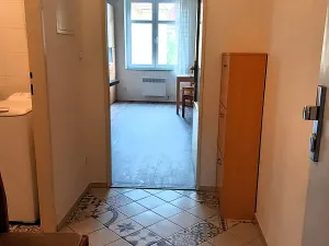 Pronájem bytu 1+1, Praha - Michle, Na úlehli, 46 m2