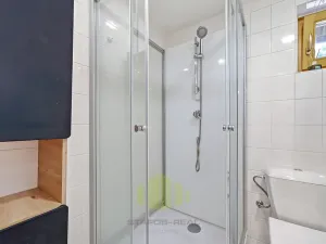 Prodej chaty, Zábřeh, 53 m2