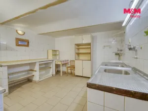 Prodej komerčního pozemku, Vráž, 16101 m2