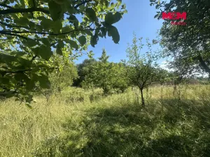 Prodej zahrady, Hranice - Hranice I-Město, 901 m2
