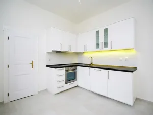 Pronájem bytu 1+1, Praha - Vinohrady, Mánesova, 47 m2