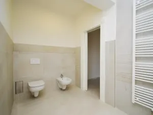 Pronájem bytu 1+1, Praha - Vinohrady, Mánesova, 47 m2
