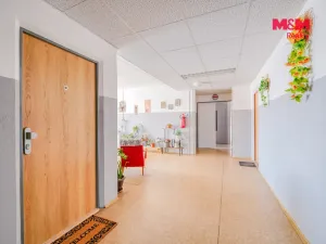 Prodej bytu 1+kk, Horní Bříza, U Vrbky, 22 m2