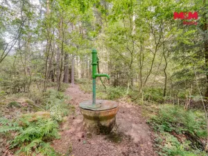 Prodej chaty, Stráž - Borek, 45 m2