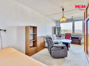 Prodej bytu 1+1, Most, Javorová, 35 m2