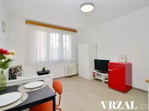 Pronájem bytu 1+kk, Plzeň, Heyrovského, 20 m2