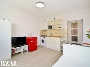Pronájem bytu 1+kk, Plzeň, Heyrovského, 20 m2