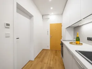 Prodej bytu 1+1, Praha - Nusle, Dačického, 31 m2