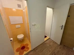 Pronájem bytu 2+kk, Strašice, 50 m2