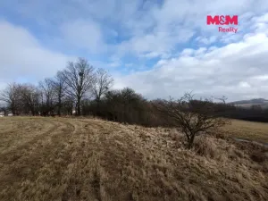 Prodej louky, Budišov nad Budišovkou, 6470 m2