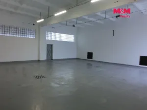 Pronájem skladu, Veselí nad Lužnicí - Veselí nad Lužnicí II, 150 m2
