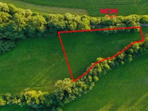 Prodej louky, Horní Bříza, 4590 m2