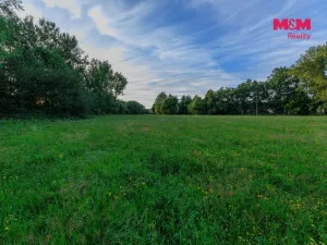 Prodej louky, Horní Bříza, 4590 m2