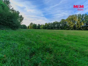 Prodej louky, Horní Bříza, 4590 m2