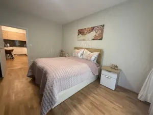 Pronájem bytu, Brno - Bystrc, Rakovecká, 17 m2