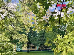 Prodej bytu 2+1, Ostrava - Moravská Ostrava, Mariánskohorská, 60 m2