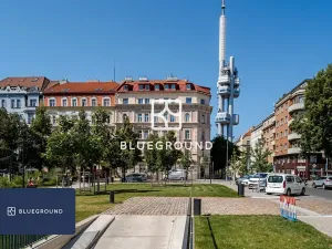 Pronájem bytu 1+1, Praha - Vinohrady, Řipská, 38 m2