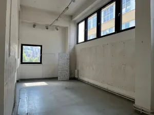 Pronájem kanceláře, Praha - Holešovice, Jankovcova, 240 m2