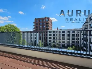 Pronájem bytu 4+kk, Praha - Nusle, Bělehradská, 123 m2