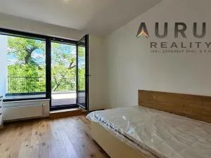 Pronájem bytu 4+kk, Praha - Nusle, Bělehradská, 123 m2