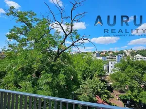 Pronájem bytu 4+kk, Praha - Nusle, Bělehradská, 123 m2