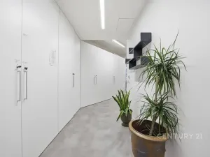 Prodej kanceláře, Praha - Smíchov, Na Zatlance, 232 m2