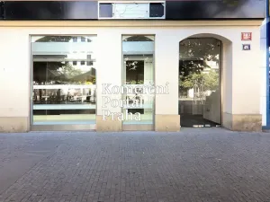 Pronájem restaurace, Praha - Nové Město, Václavské náměstí, 309 m2