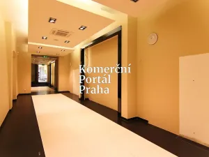 Pronájem obchodního prostoru, Praha - Nové Město, Václavské náměstí, 309 m2