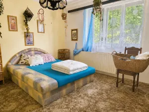 Prodej rodinného domu, Stráž nad Ohří, 200 m2