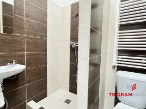 Pronájem bytu 1+kk, Hradec Králové - Plotiště nad Labem, 14 m2