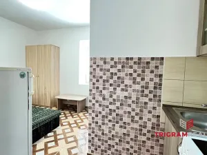 Pronájem bytu 1+kk, Hradec Králové - Plotiště nad Labem, 14 m2