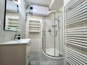 Pronájem bytu 1+1, Brno, Helfertova, 43 m2