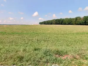 Prodej komerčního pozemku, Planá nad Lužnicí, 1838 m2