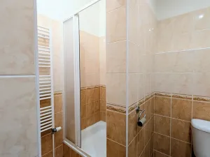 Pronájem bytu 3+kk, Peruc, U Koupaliště, 68 m2
