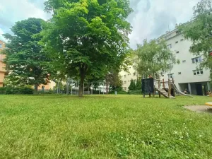 Pronájem bytu 1+kk, Brno, Zvěřinova, 13 m2