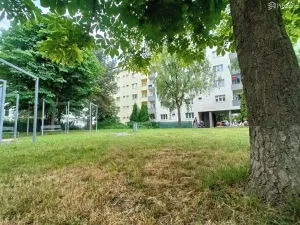 Pronájem bytu 1+kk, Brno, Zvěřinova, 13 m2