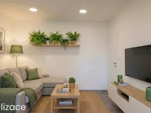Prodej bytu 2+kk, Velké Opatovice, Jubilejní, 47 m2