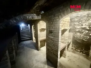 Prodej vinného sklepa, Hustopeče, Kpt. Jaroše, 80 m2